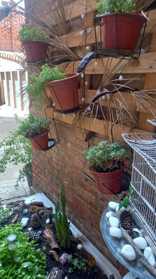 Apartamento El Rincón De Chavely Palencia Exterior foto